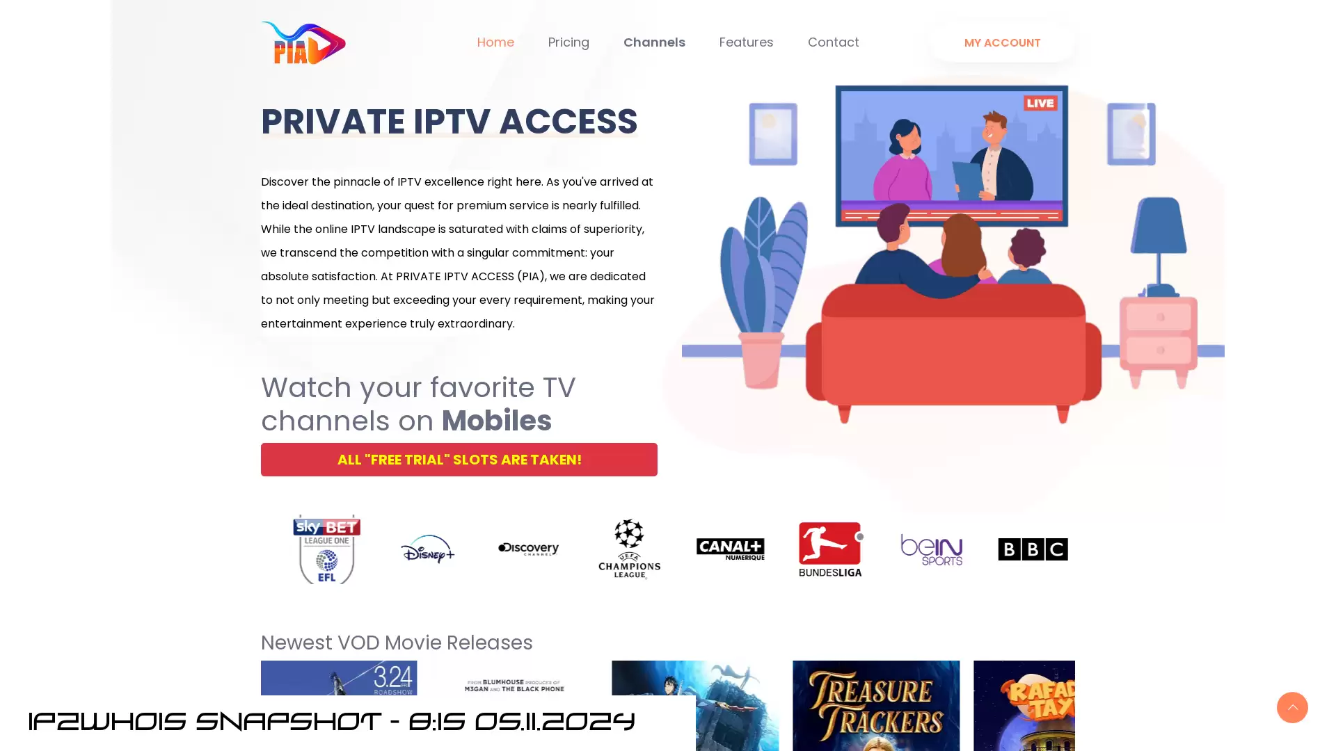 privateiptvaccess.com - snapshot