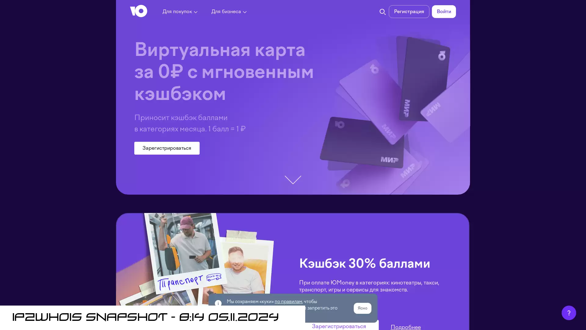 promo.yoomoney.ru - snapshot